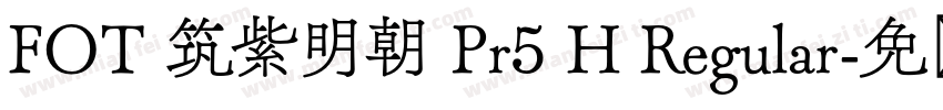FOT 筑紫明朝 Pr5 H Regular字体转换